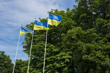 Ulusal bağımsız Ukrayna bayrağı rüzgarda sallanıyor