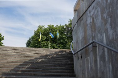 Ulusal bağımsız Ukrayna bayrağı rüzgarda sallanıyor