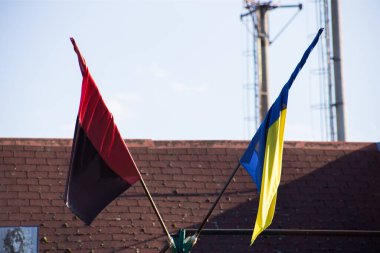 Ulusal bağımsız Ukrayna bayrağı rüzgarda sallanıyor