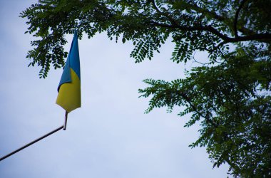 Ulusal bağımsız Ukrayna bayrağı rüzgarda sallanıyor