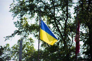 Ulusal bağımsız Ukrayna bayrağı rüzgarda sallanıyor