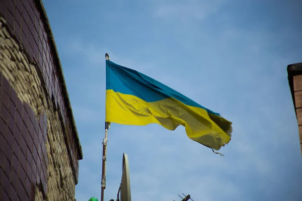 Drapeau National Ukraine Indépendante Agitant Vent — Photo