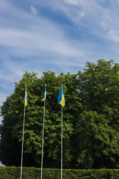 Nationalflagge Der Unabhängigen Ukraine Weht Wind — Stockfoto