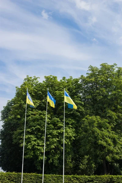 Národní Vlajka Nezávislé Ukrajiny Vlnící Větru — Stock fotografie