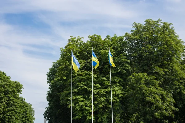 Bandera Nacional Ucrania Independiente Ondeando Viento — Foto de Stock