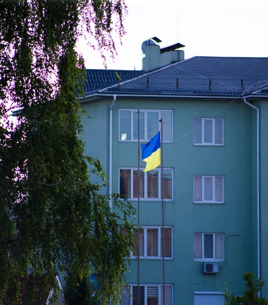 Drapeau National Ukraine Indépendante Agitant Vent — Photo