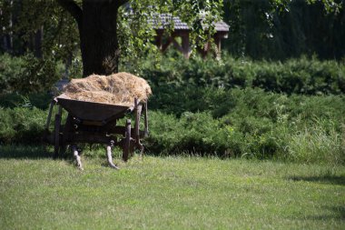 Pereyaslav 'daki Ukraynalıların eski kulübeleri ve evleri