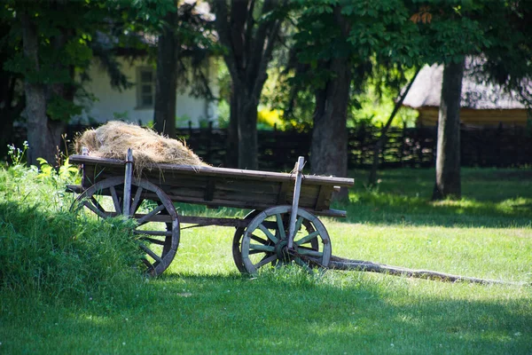Starý Venkovský Vozík Seno Trávě — Stock fotografie