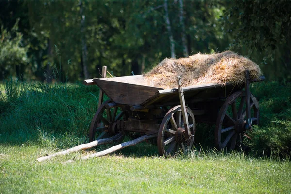 Stary Wózek Siano Trawie — Zdjęcie stockowe