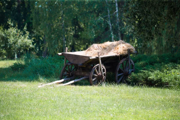 Stary Wózek Siano Trawie — Zdjęcie stockowe