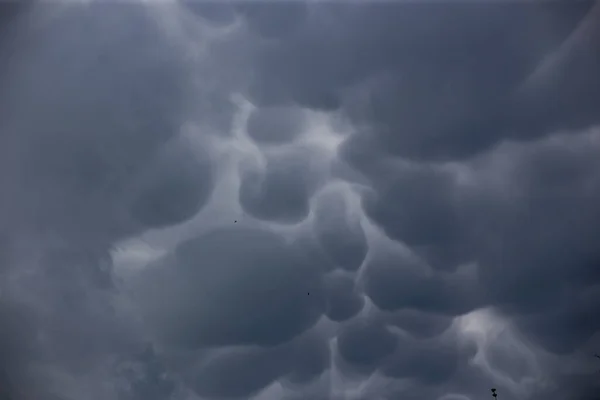 Nubes Esponjosas Cubren Cielo Azul Del Verano — Foto de Stock