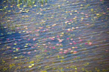 Tekrarlanan bir şablonun dokusu olarak arkaplan