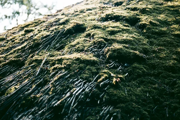 Bakgrund Som Textur Från Ett Upprepat Mönster — Stockfoto