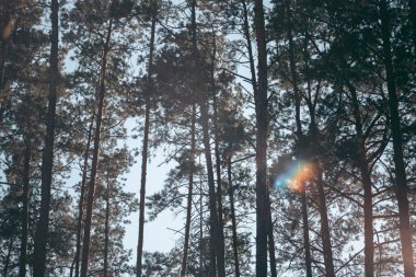 Şehrin yakınlarındaki güzel vahşi çevre