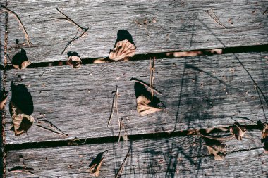 Şehrin yakınlarındaki güzel vahşi çevre