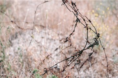 Şehrin yakınlarındaki güzel vahşi çevre