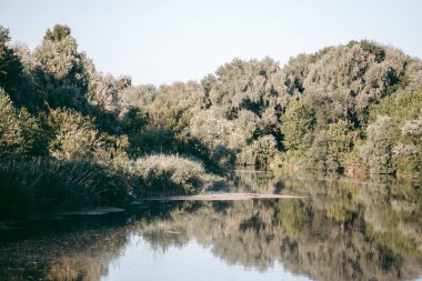 Şehrin yakınlarındaki güzel vahşi çevre