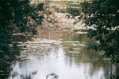 Şehrin yakınlarındaki güzel vahşi çevre