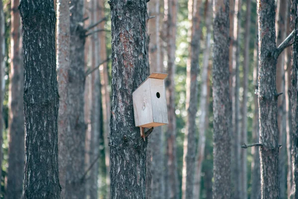 Krásné Divoké Ekoprostředí Blízkosti Města — Stock fotografie