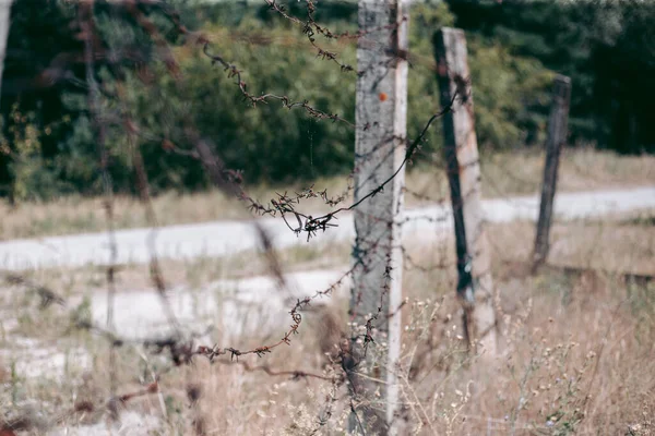 Красиве Екологічне Середовище Біля Міста — стокове фото