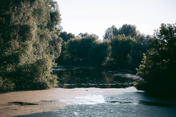 Gyönyörű Vad Környezet Város Közelében — Stock Fotó