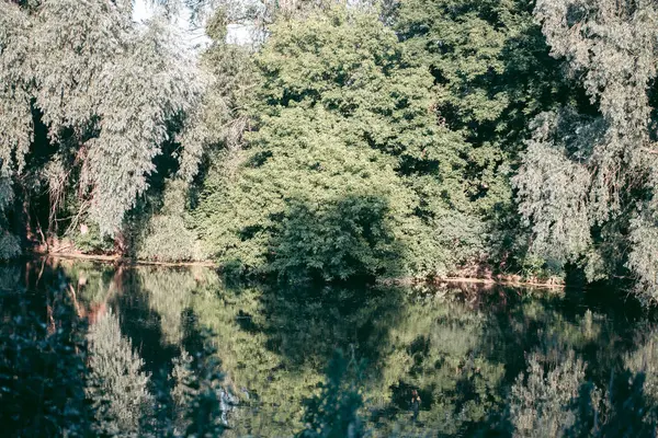 Ambiente Ecológico Selvagem Bonito Perto Cidade — Fotografia de Stock