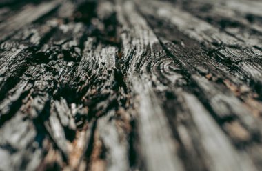 Eski terk edilmiş tahta kızak pisti Yazın gün ışığında