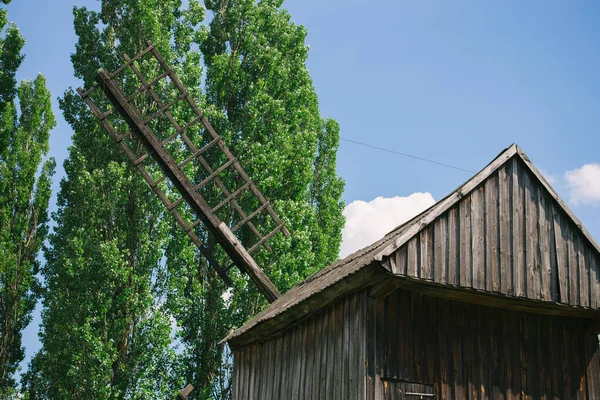 Alte Holzmühlen Umgeben Von Natur — Stockfoto