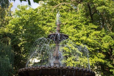 Şehirdeki parkta bir çeşme