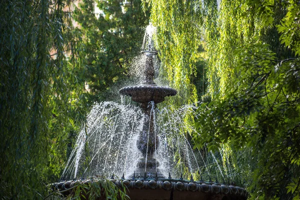 Fontänen Parken Staden — Stockfoto