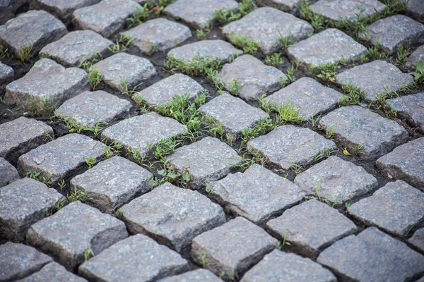 Pflastersteine Auf Der Straße Einer Europäischen Stadt — Stockfoto