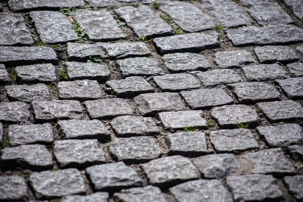 在欧洲城市的街道上铺石头 — 图库照片