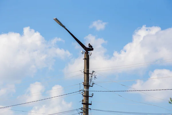 Kabels Elektriciteit Leveren Aan Stad — Stockfoto