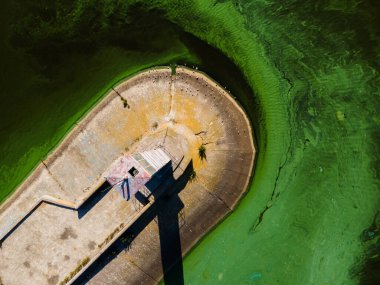 Deniz fenerinin alg çiçekleriyle çevrili havadan görünüşü