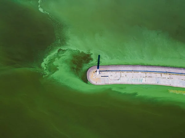 Aerial View Lighthouse Surrounded Algal Bloom — Stock Photo, Image