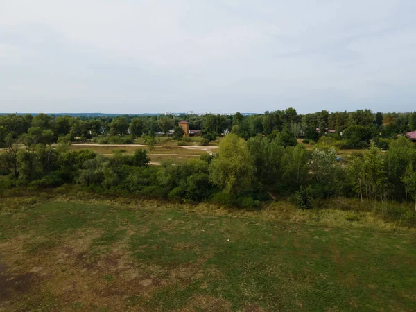 Aerial View Field Trees — Stock Photo, Image