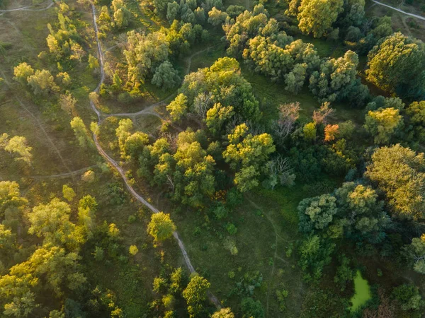 Vista Aérea Del Campo Los Árboles — Foto de Stock