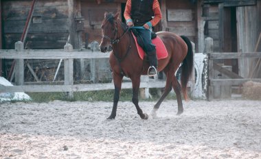 Ortaçağ kıyafetleri içinde at sırtında bir adam.