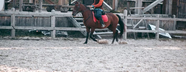 Homme Cheval Vêtements Médiévaux — Photo