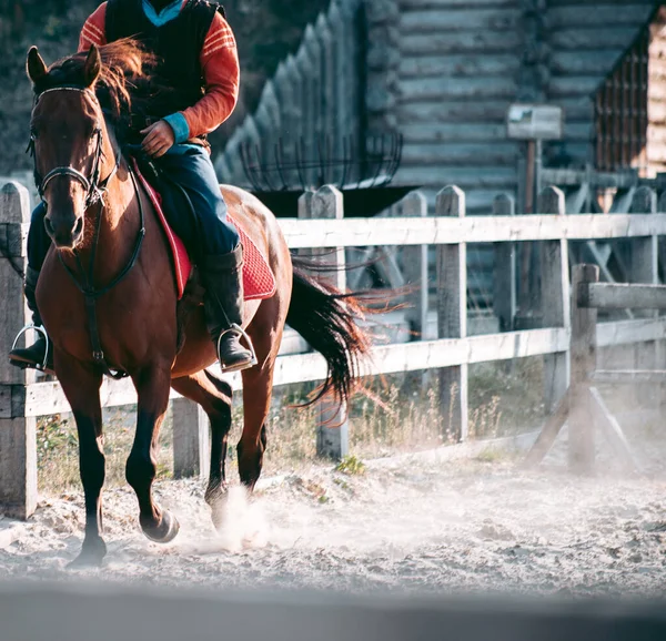 Hombre Caballo Con Ropa Medieval — Foto de Stock