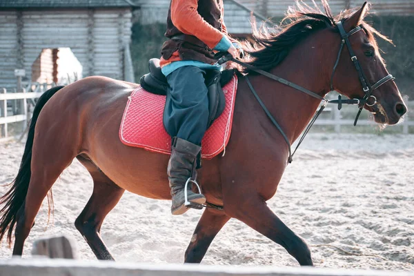 Man Horseback Medieval Clothes — Stock Photo, Image