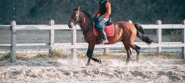 Uomo Cavallo Abiti Medievali — Foto Stock