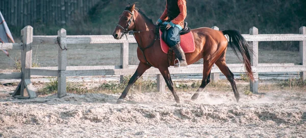 Hombre Caballo Con Ropa Medieval — Foto de Stock