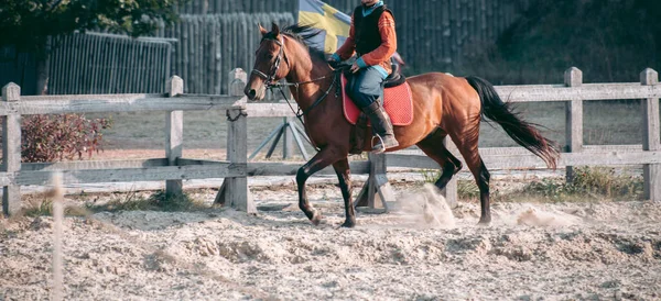 Homme Cheval Vêtements Médiévaux — Photo