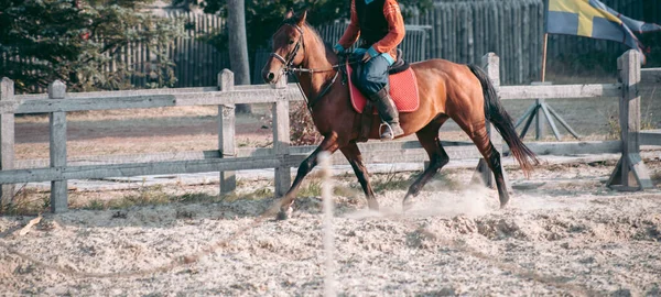 Man Paard Middeleeuwse Kleding — Stockfoto