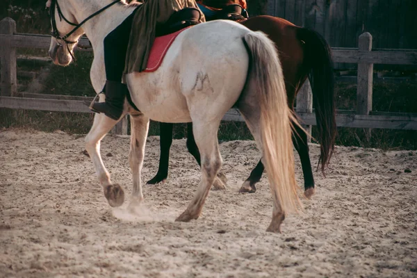 Homem Cavalo Roupas Medievais — Fotografia de Stock