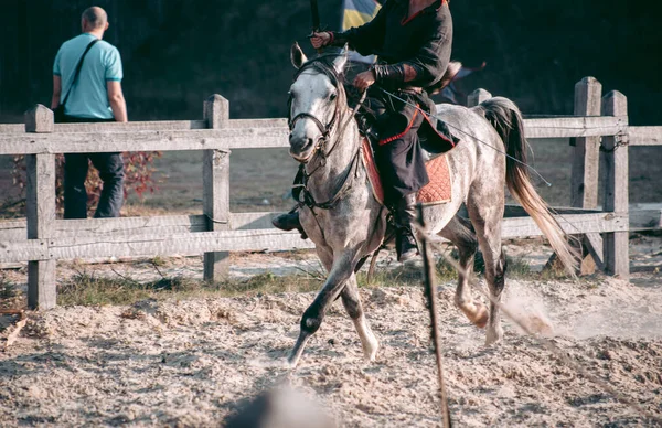 Homme Cheval Vêtements Médiévaux — Photo