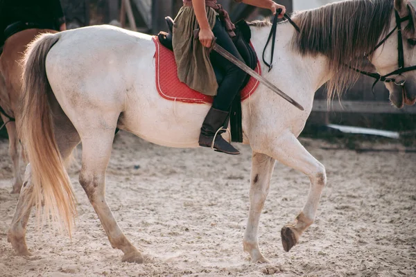 Hombre Caballo Con Ropa Medieval — Foto de Stock