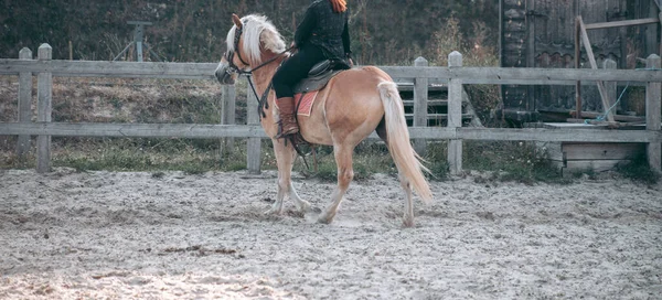 Hombre Caballo Con Ropa Medieval — Foto de Stock