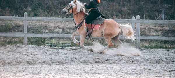 Mannen Hästryggen Medeltida Kläder — Stockfoto